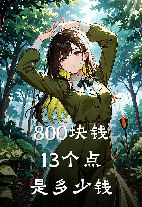 800块钱13个点是多少钱